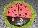 Torta Coccinella